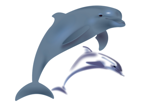 Dolfijnen Spelletjes