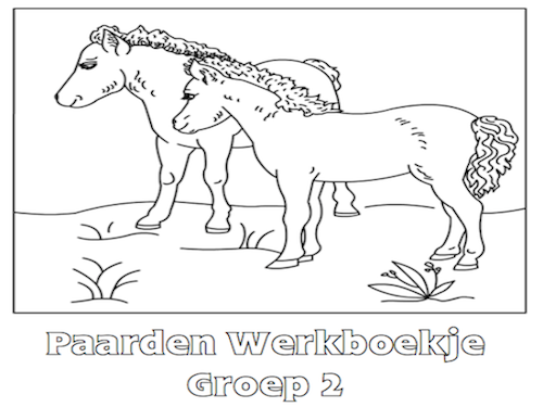 Paarden Werkboekje Groep 2