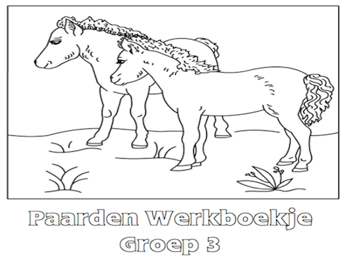 Paarden Werkboekje Groep 3