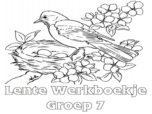 interieur antenne Giet Lente Werkboekje Groep 7 - Werkboekjes Printen op Minipret.nl