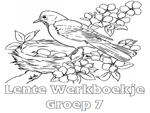 Lente Werkboekje Groep 7