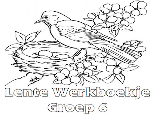 Lente Werkboekje Groep 6