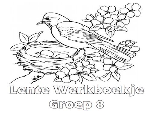 Lente Werkboekje Groep 8