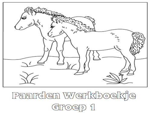 Paarden Werkboekje Groep 1