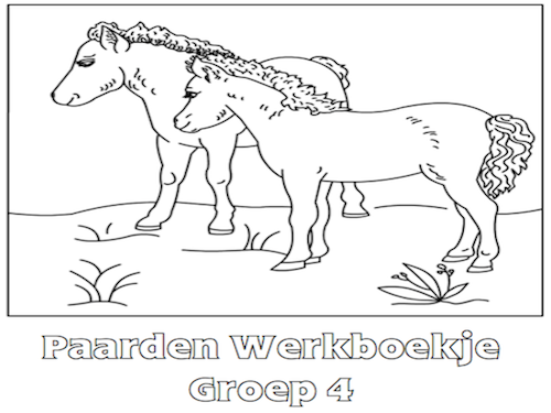 Paarden Werkboekje Groep 4