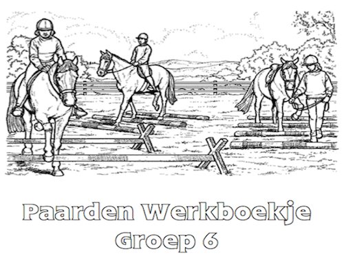 Paarden Werkboekje Groep 6