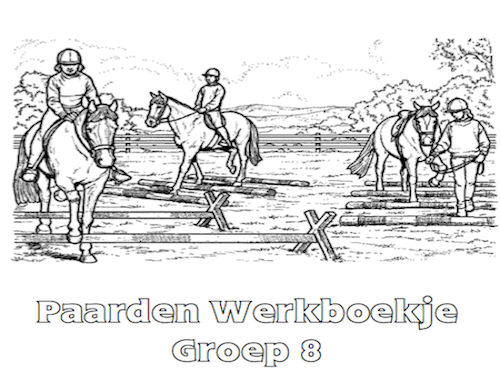 Paarden Werkboekje Groep 8
