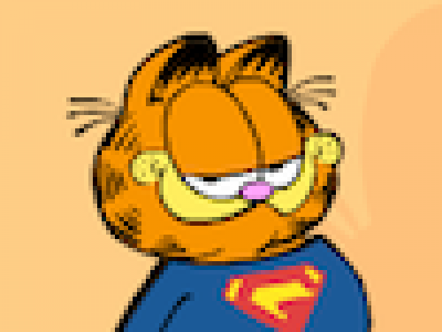 Garfield Aankleden (Spelletje)