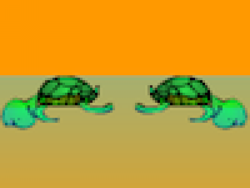 Brug van Schildpadden (Spelletje)