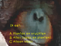 Dieren Quiz (Oud) (Spelletje)