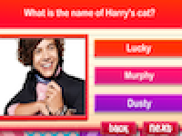 Harry Styles Quiz (Spelletje)