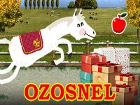 Ozosnel Race (Nieuw) (Spelletje)