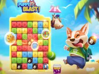 Puppy Blast (Nieuw) (Spelletje)