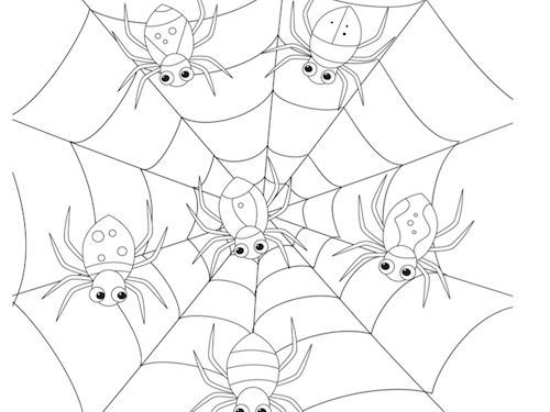 Spinnenweb Kleurplaat