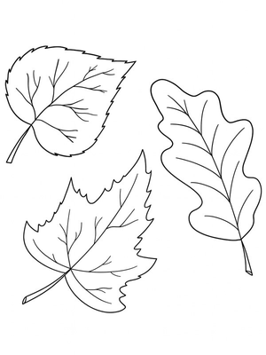 3 herfstbladeren Kleurplaat — gratis kleurplaat