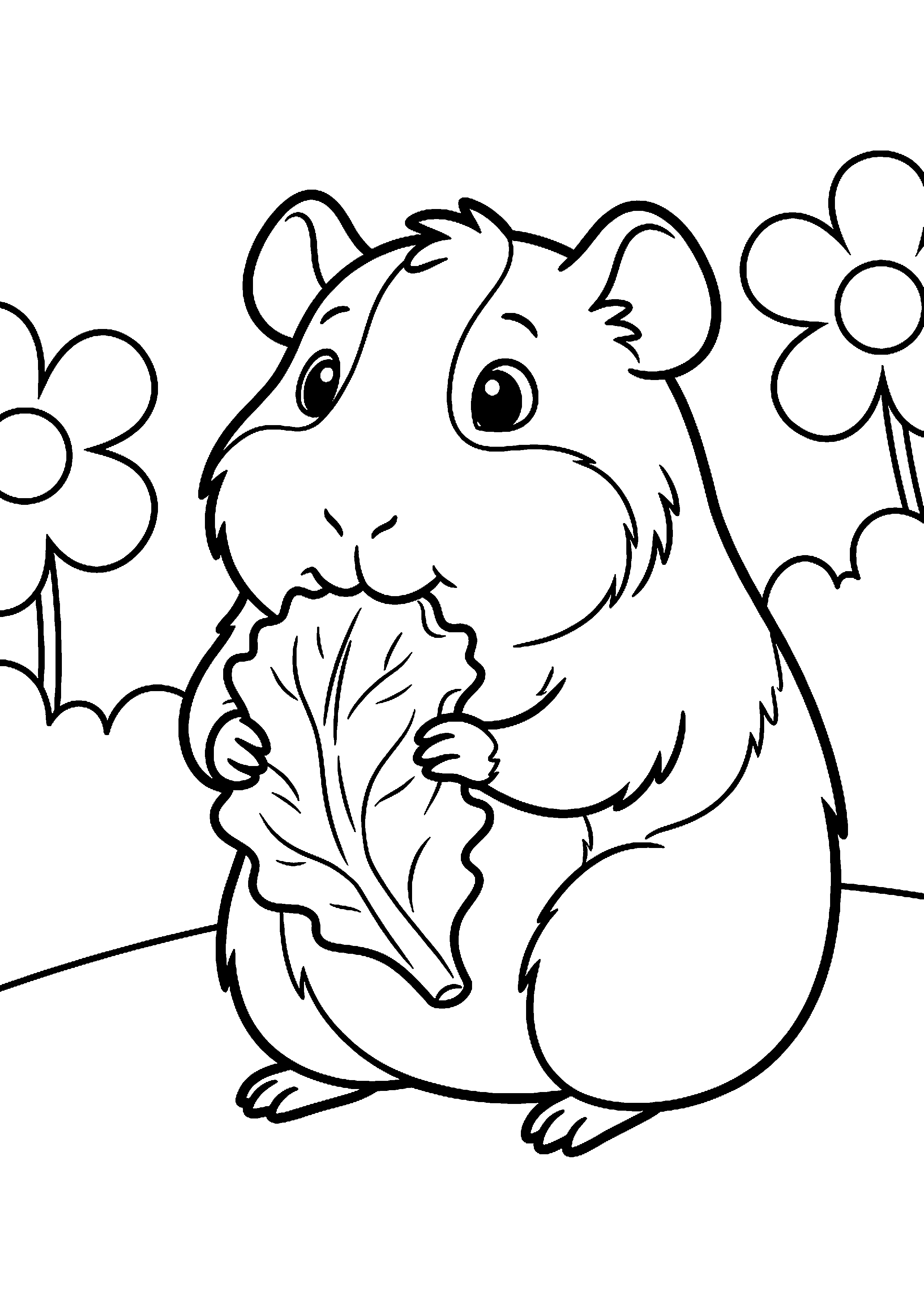 Cavia eet blaadje sla kleurplaat — gratis kleurplaat