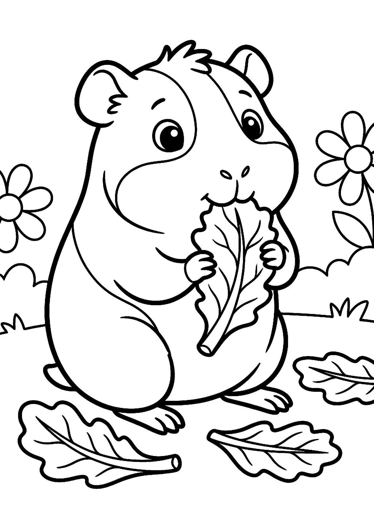 Cavia eet sla kleurplaat — gratis kleurplaat