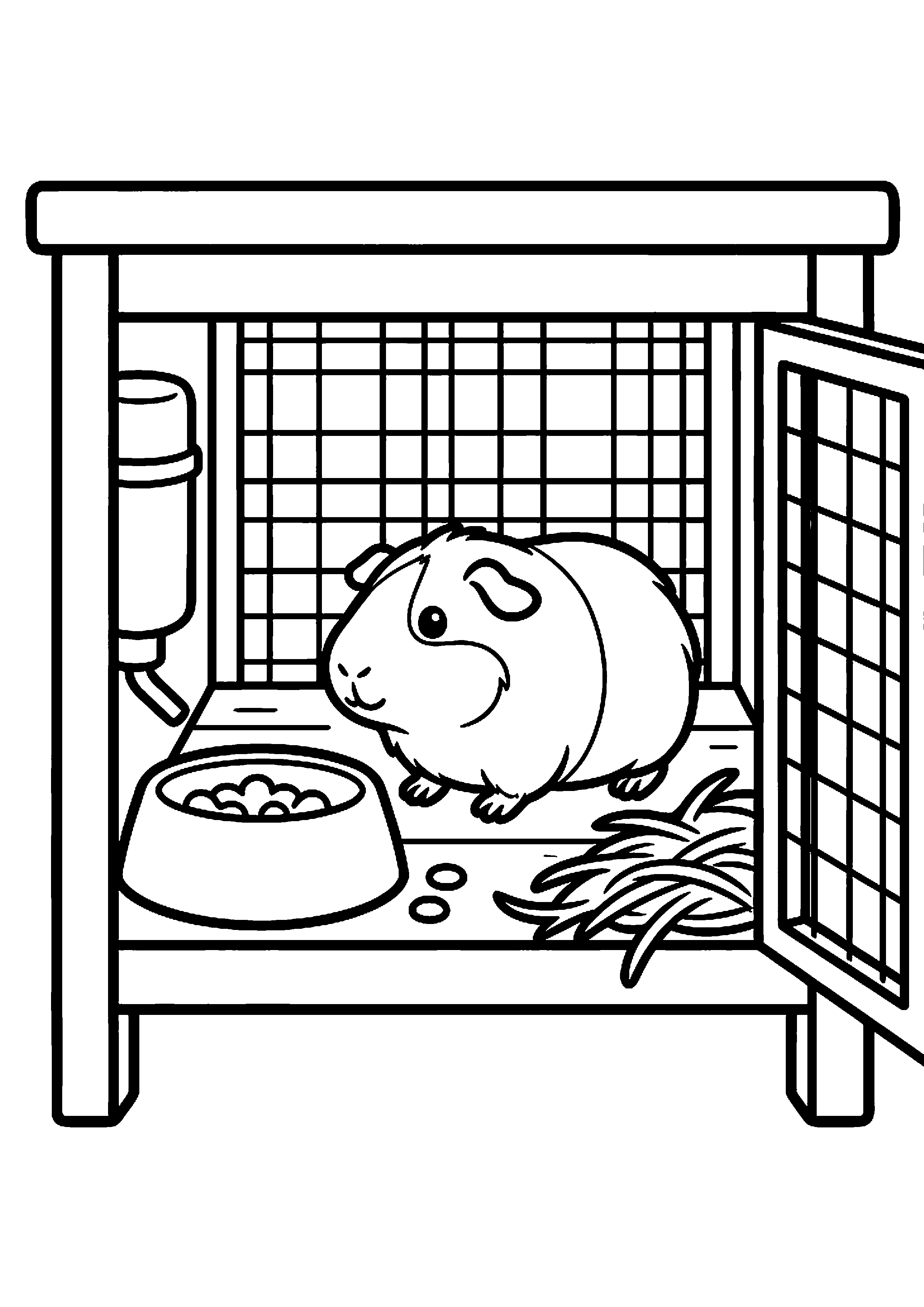 Cavia in hok kleurplaat — gratis kleurplaat