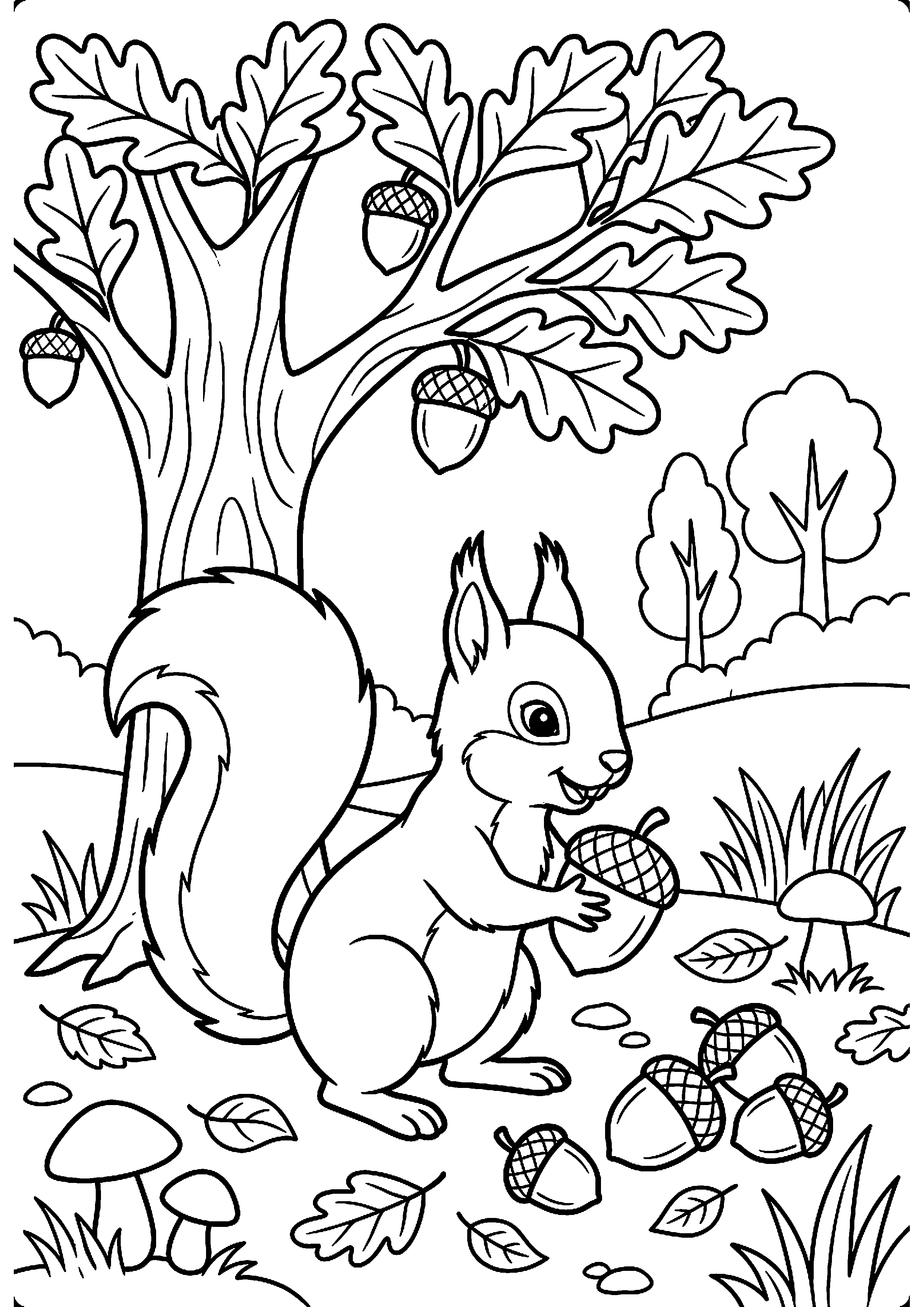 Eekhoorn verzamelt eikels kleurplaat — gratis kleurplaat