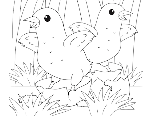 Kuikentjes Kleurplaat — gratis kleurplaat