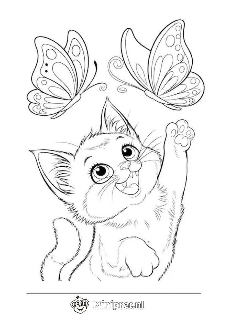 Kat en Vlinder kleurplaat — gratis kleurplaat