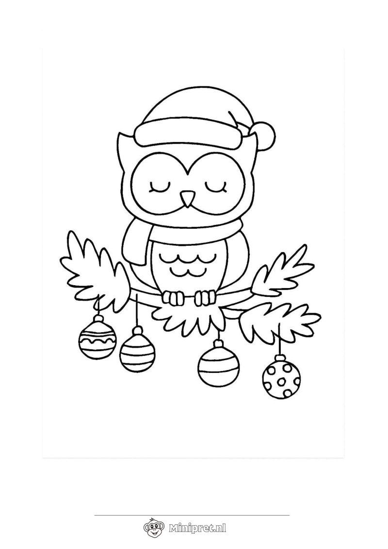 Uil met Kerstmuts kleurplaat — gratis kleurplaat