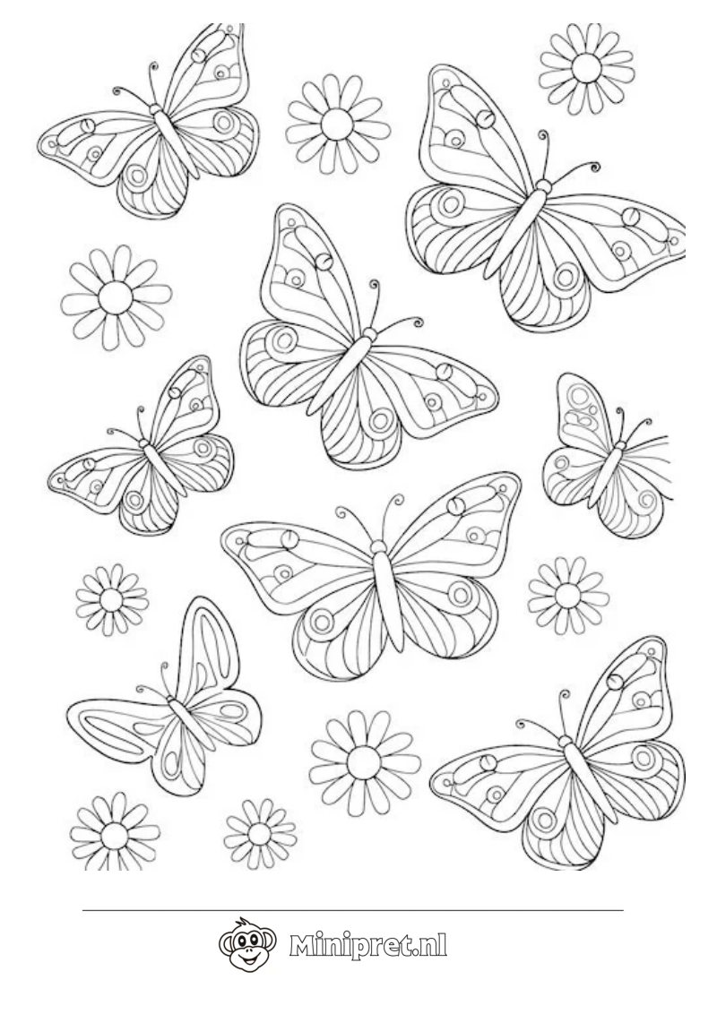 Vlinders in de Zomer kleurplaat — gratis kleurplaat