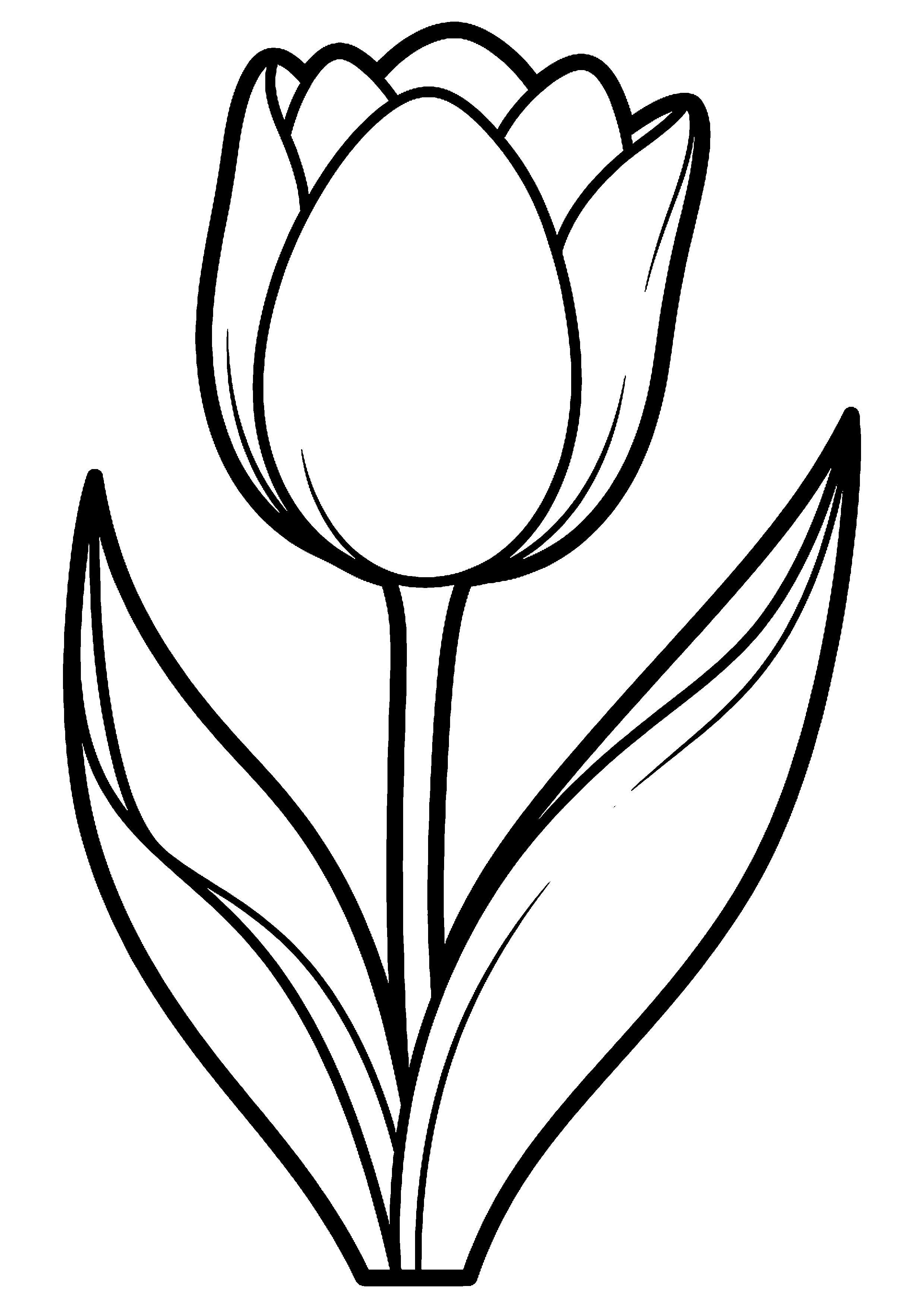 Tulp met blaadjes kleurplaat — gratis kleurplaat