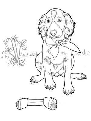 Schattige hond Kleurplaat — gratis kleurplaat