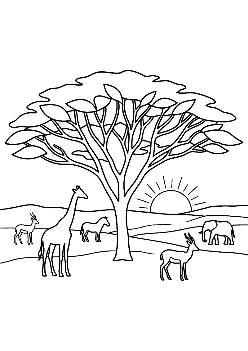 Kleurplaat van een acaciaboom op de savanne bij zonsondergang met giraf, zebra, olifant en antilopen