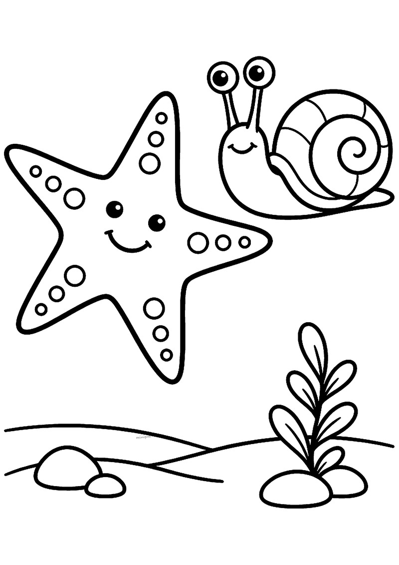 Kleurplaat van een lachende zeester met stippen en een slakje met oogsteeltjes boven een bodem met stenen en een plantje