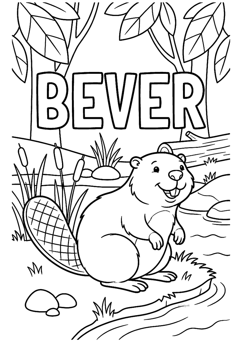 Kleurplaat van een lachende bever met grote tanden en een platte geruite staart aan de waterkant, met BEVER erboven
