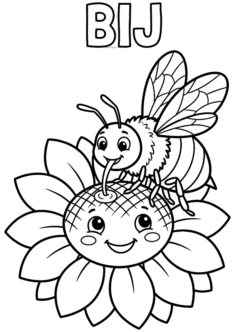 Kleurplaat van een bij die met haar tong nectar drinkt uit een lachende zonnebloem, met het woord BIJ erboven