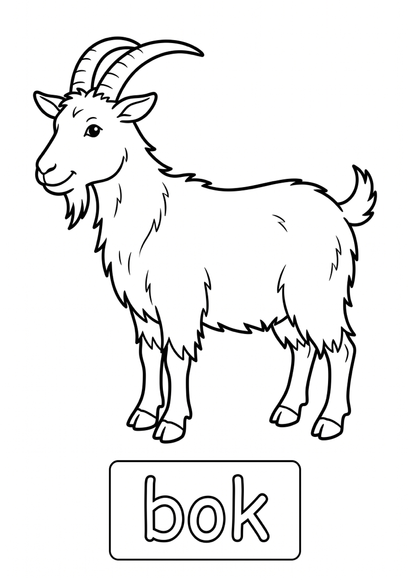 Bok Woordkaart Kleurplaat — gratis kleurplaat