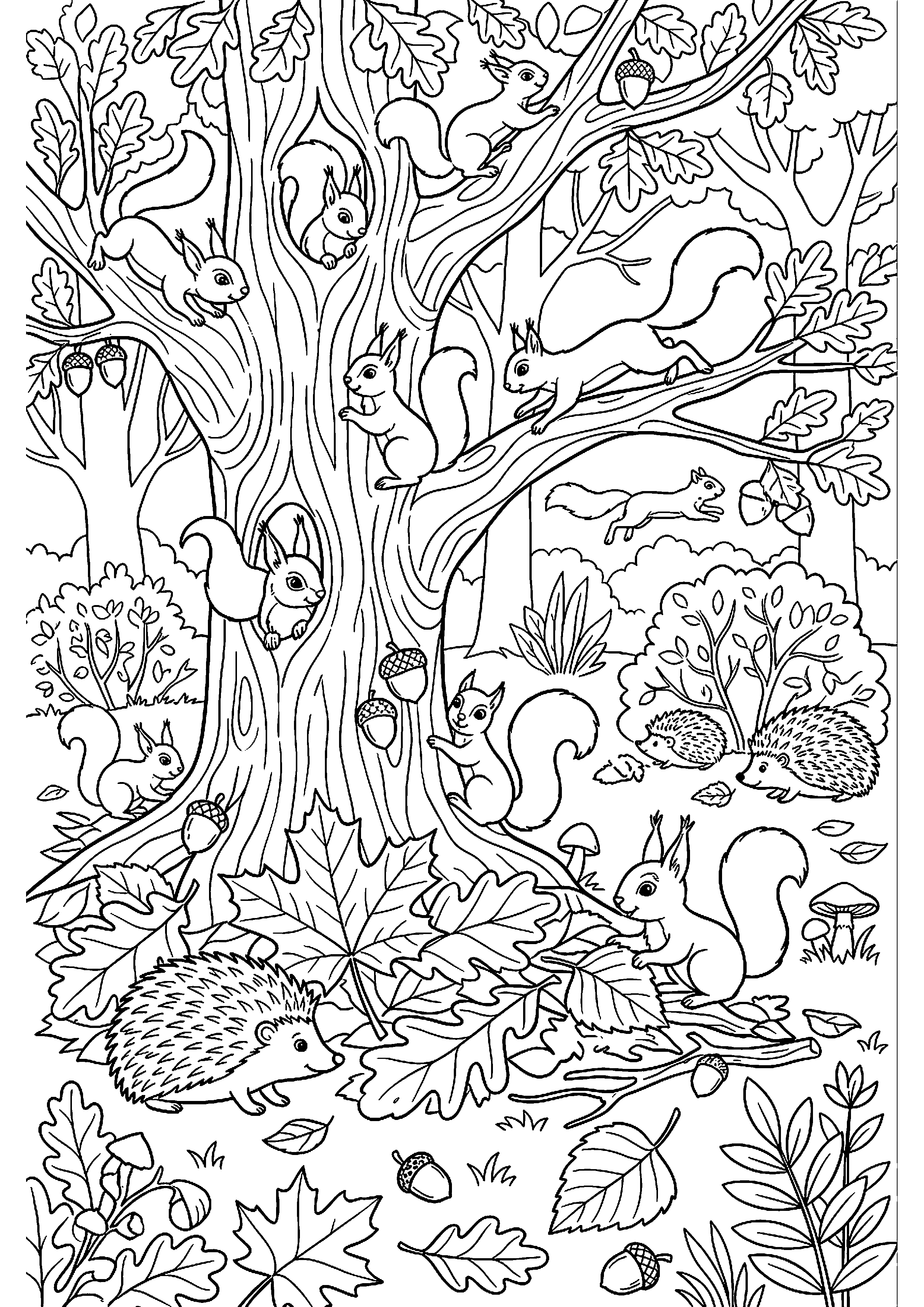 Bos vol eekhoorns, egels en bladeren kleurplaat — gratis kleurplaat