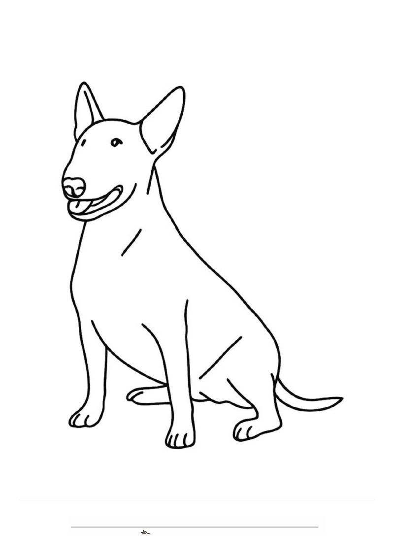 Bulterriër Kleurplaat — gratis kleurplaat