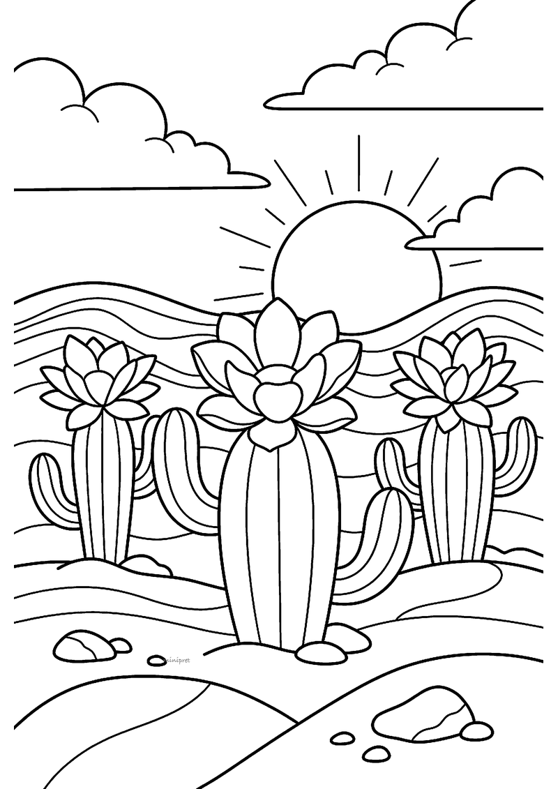 Kleurplaat van drie cactussen met grote bloemen bovenop in een woestijn met zandduinen, stenen, zon en wolken