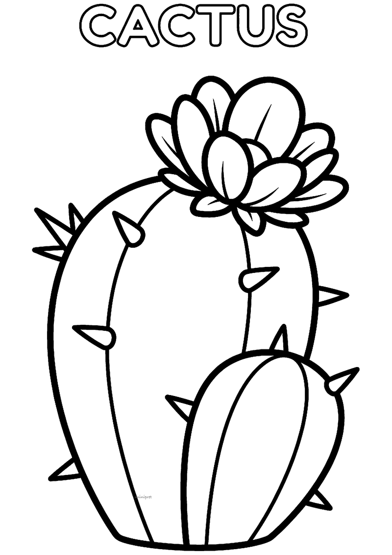 Kleurplaat van een eenvoudige ronde cactus met stekels, een klein zijstuk en een grote bloem bovenop, met CACTUS erboven