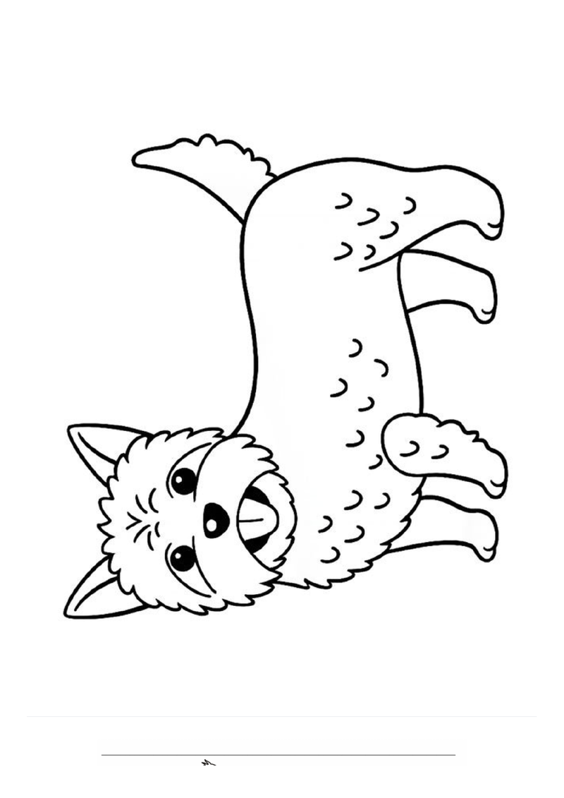 Cairn Terrier Kleurplaat — gratis kleurplaat