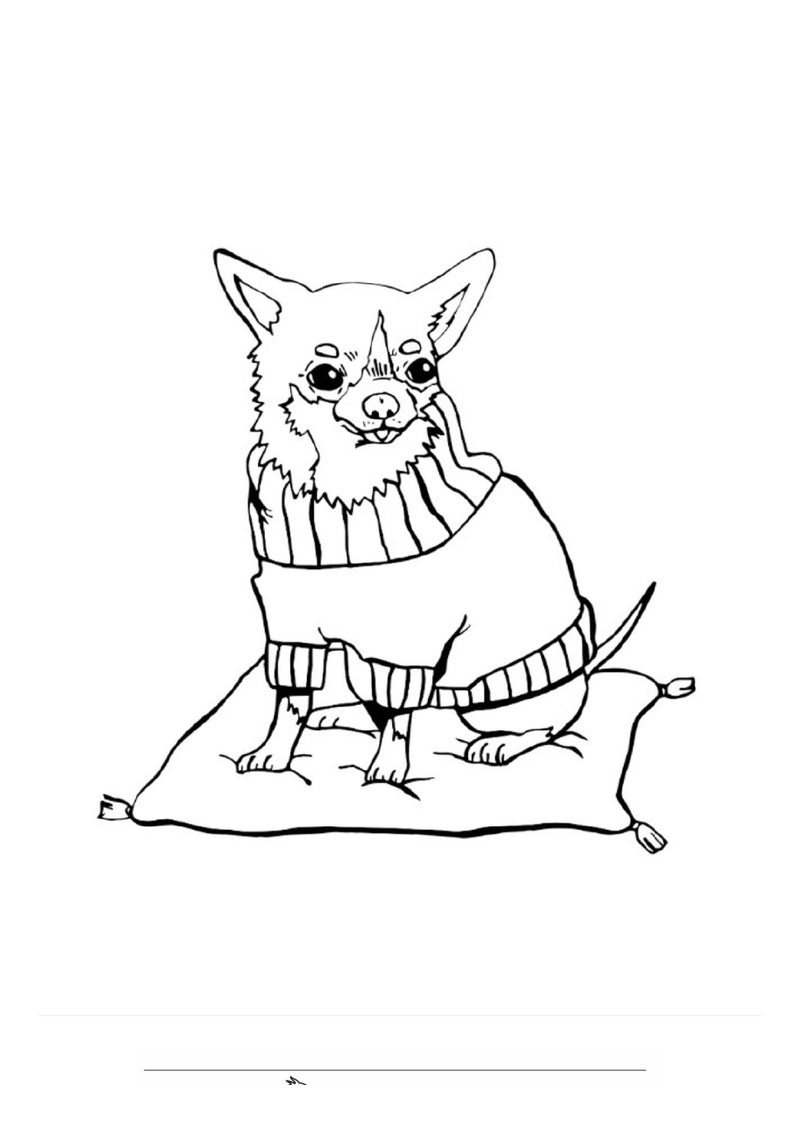 Chihuahua Kleurplaat — gratis kleurplaat printen
