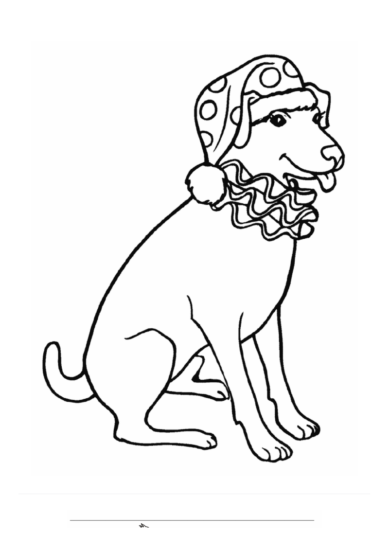 Circus Hond Clownshoed Kraag Kleurplaat — gratis kleurplaat printen