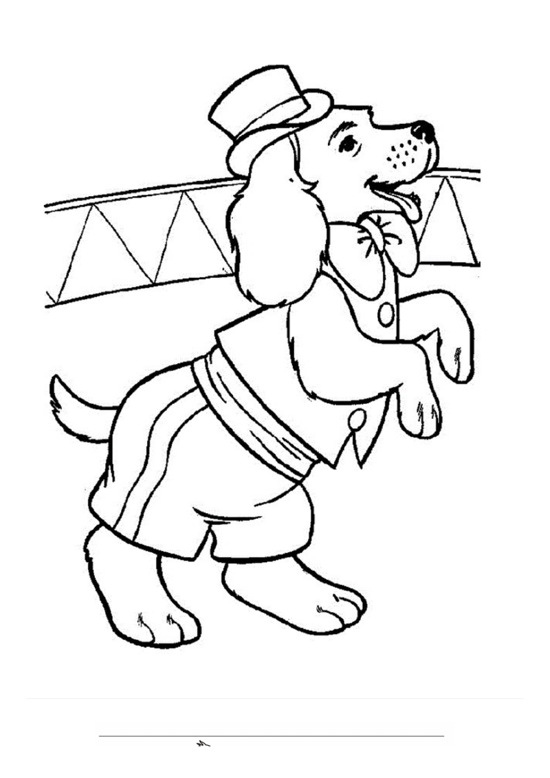 Circushond Kleurplaat — gratis kleurplaat