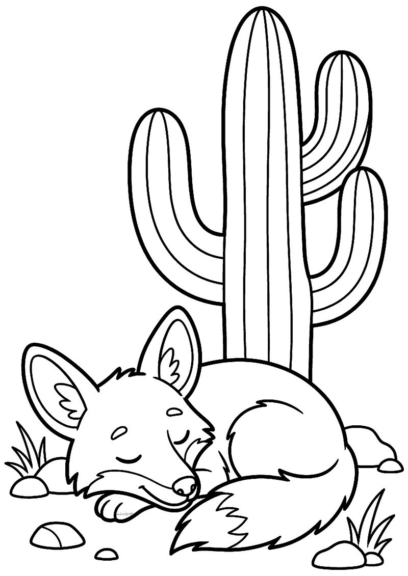 Kleurplaat van een opgerolde slapende coyote met grote oren en een pluizige staart voor een hoge cactus met armen