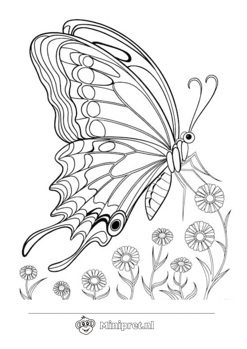 Dagpauwoog op Bloemen kleurplaat — gratis kleurplaat