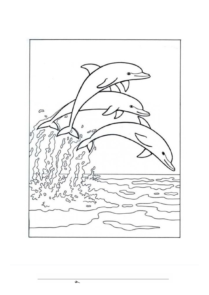 Dolfijnen springen In de zee Kleurplaat — gratis kleurplaat