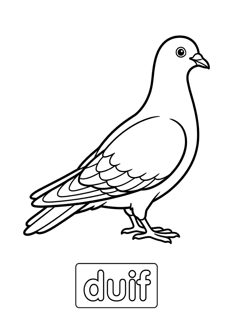 Duif Woordkaart Kleurplaat — gratis kleurplaat