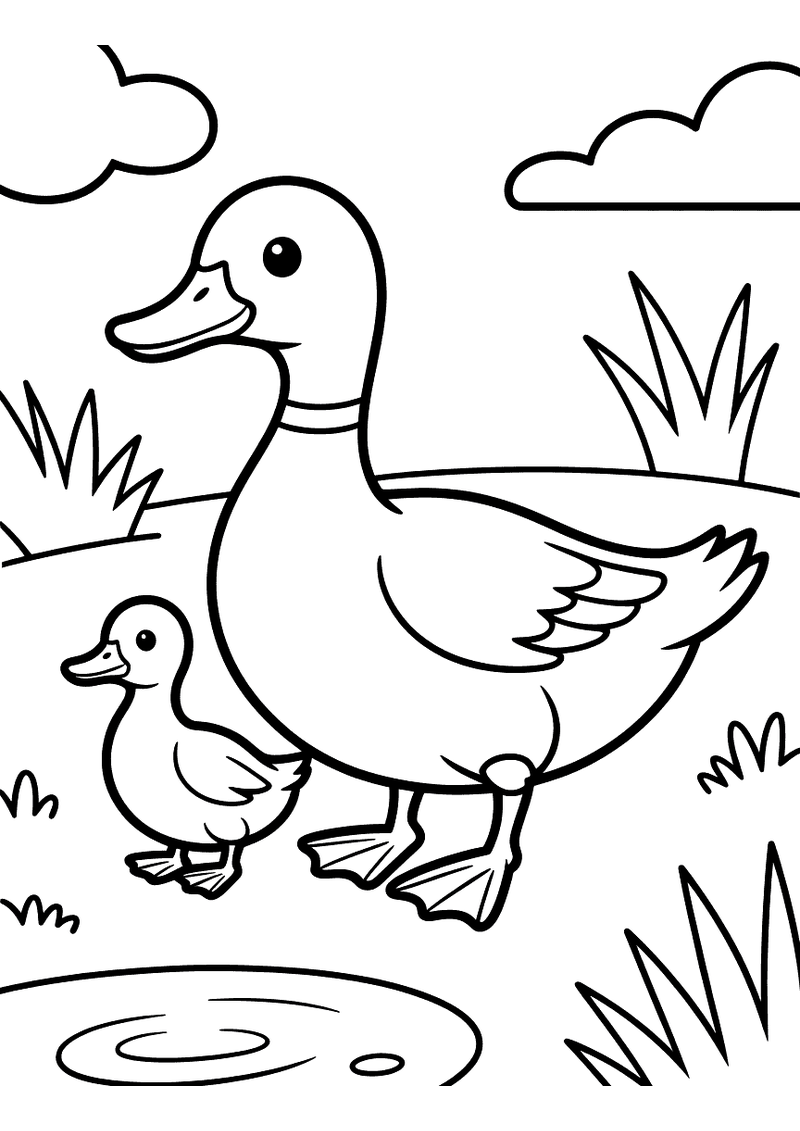 Kleurplaat van een grote eend en een klein eendje die samen door de natuur lopen bij een plas met gras en wolken
