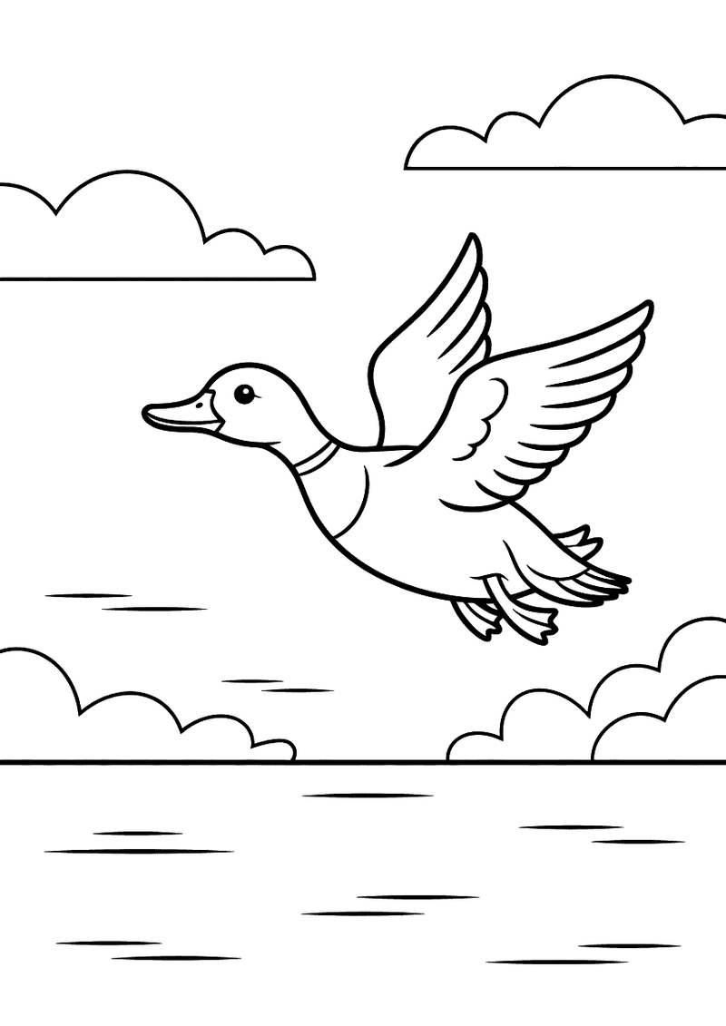 Kleurplaat van een eend in vol vlucht met wijd gespreide vleugels boven een meer, met wolken aan hemel en boven het wate