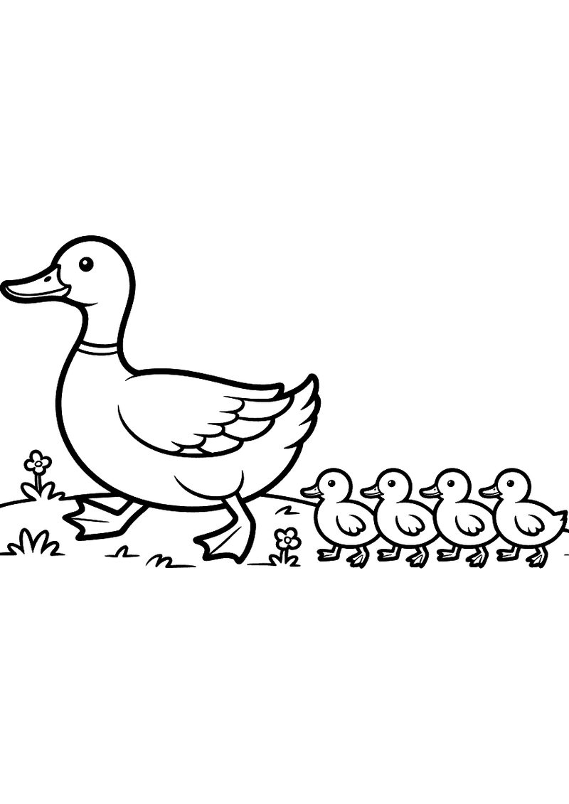 Kleurplaat van een moedereend die loopt met vier kleine kuikens in een rij achter haar door het gras met kleine bloemetj