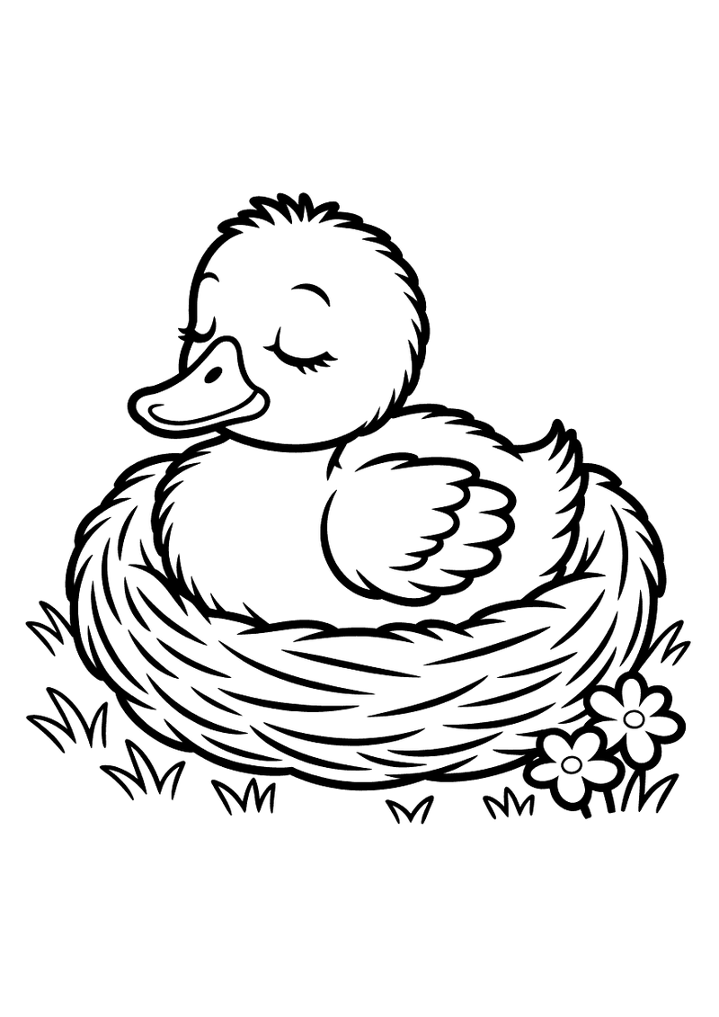Kleurplaat van een slapend eendje met gesloten ogen dat rustig in een rond strooien nest ligt, naast een bloempje